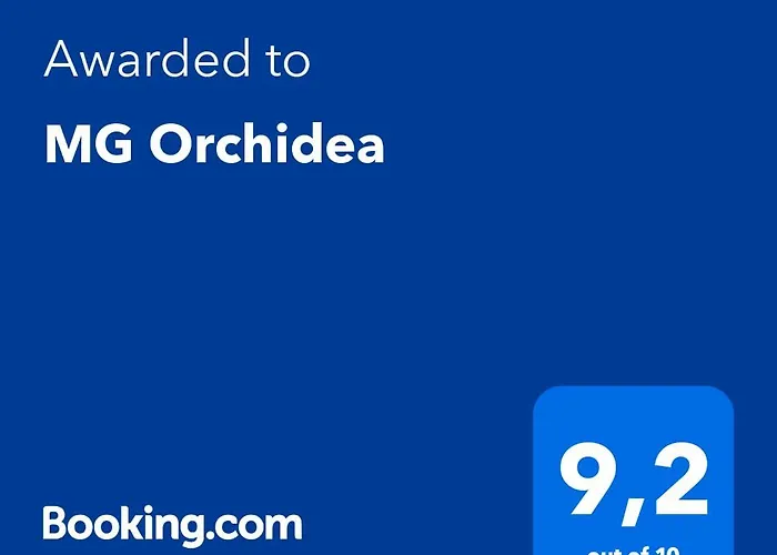 Mg Orchidea
